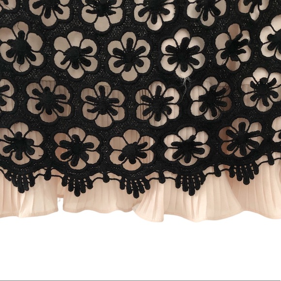 Anthropologie HD in Paris - Eyelet dress w/ Nude underlay & Ruffled Hem - Picture 4 of 6